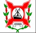 Brasão da cidade de Costa Marques - RO